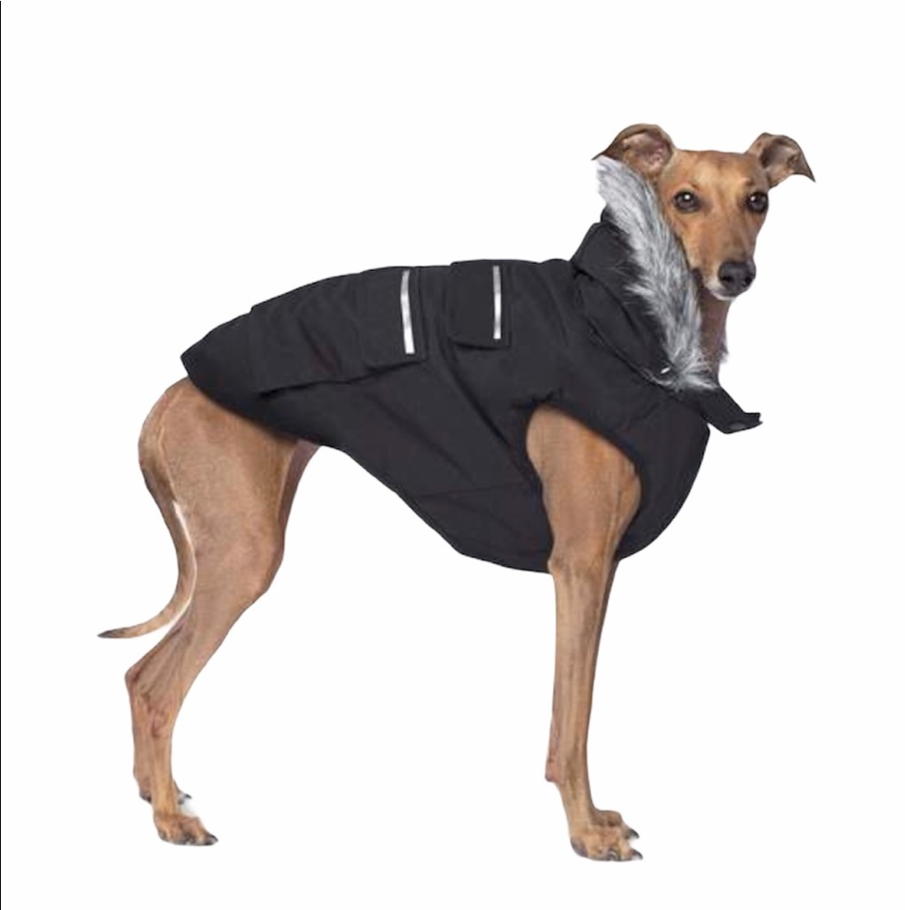 Canada Pooch Everest Explorer Dog Jacket - Picture 1 of 10